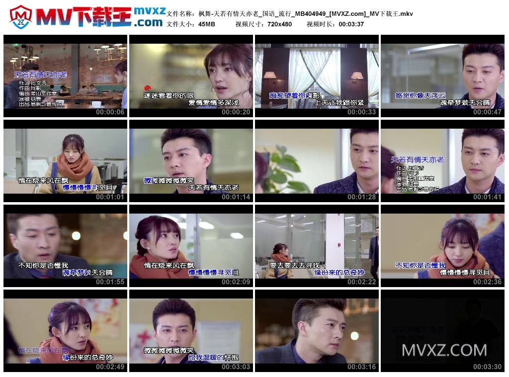 枫舞-天若有情天亦老_国语_流行_MB404949